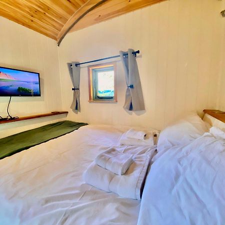 Romantic Nature Retreat, Luxury Glamping & Stargazing Views - Dragonfly Shepherd Hut Yarpole エクステリア 写真
