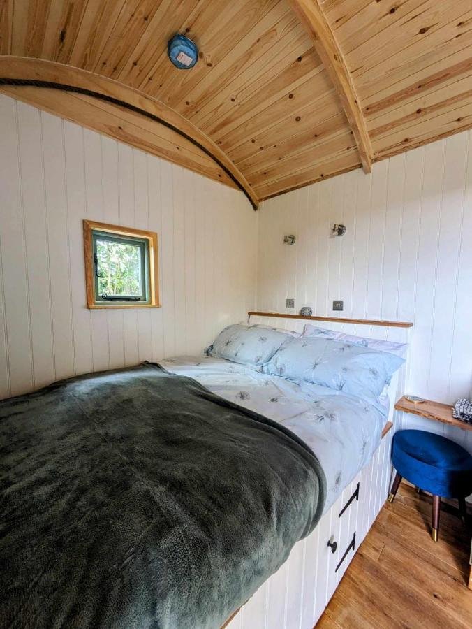 Romantic Nature Retreat, Luxury Glamping & Stargazing Views - Dragonfly Shepherd Hut Yarpole エクステリア 写真