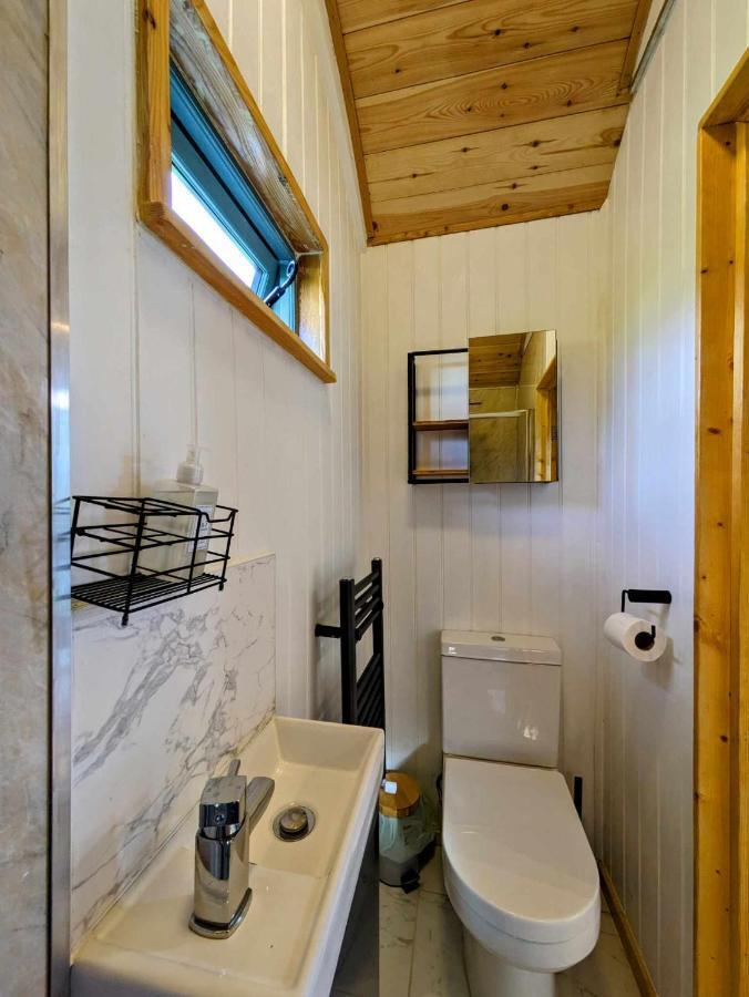 Romantic Nature Retreat, Luxury Glamping & Stargazing Views - Dragonfly Shepherd Hut Yarpole エクステリア 写真